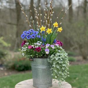 Sun Apr 19 Maple Sap Bucket 260419111